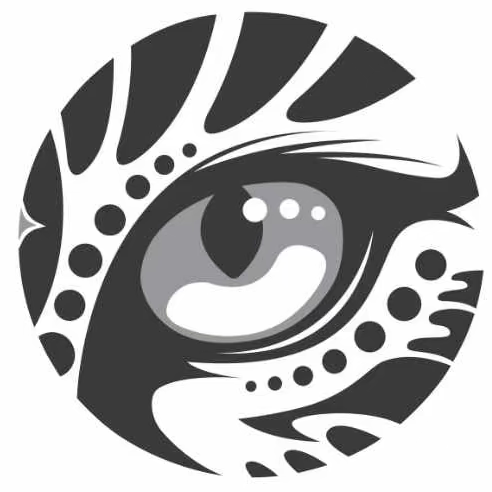 Logo of Vaguar Hape with a stylized eye design on a white background